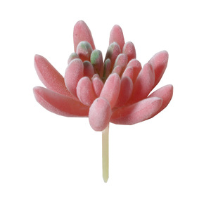 Succulentas Artificiales de la Serie Roja, Plantas Verdes Decorativas para el Hogar, Mini Adorno Combinado, Bonsái Artificial en Maceta - Product Image 2
