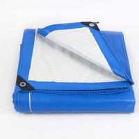 Bâche transparente imperméable robuste avec œillets, grande bâche de protection contre la pluie en PE pour serre, camping, jardinage