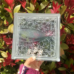 Modern design durable translucent decorative hollow glass block brick for wall decoration