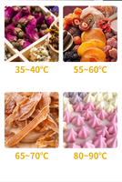 Déshydrateur alimentaire électrique domestique à 6 niveaux avec bouton rotatif, idéal pour les légumes, les fruits, la viande et le poisson – Grande vente !