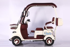 Nouveau modèle 2026 – Véhicule électrique à quatre roues avec <span class=keywords><strong>toit</strong></span> intégré et protection contre la pluie, <span class=keywords><strong>scooter</strong></span> de mobilité pour personnes âgées, moteur 800W 1000W - Product Image 5