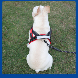 Imbracatura Riflettente per Cani da Esterno con Guinzaglio in Poliestere per Passeggiate - Product Image 5