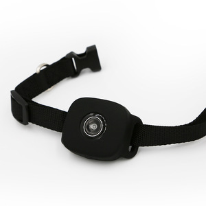 OEM ODM China Factory 4G GPS Rastreador de mascotas Seguimiento GPS en tiempo real Collar de perro Dispositivo de seguimiento de gatos - Product Image 1