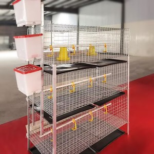 Gabbia di rete per pollame animale con tubo zincato di alta qualità - Product Image 2