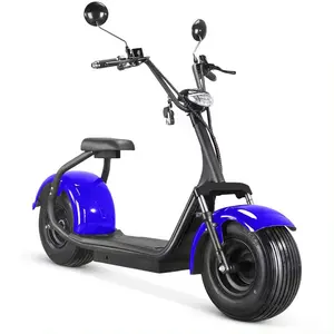 低价胖轮胎电动滑板车复古摩托车城市骑行电动滑板车1500W胖E滑板车