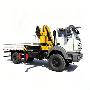 Grúa Montada en Camión de Eje Único con Pluma Recta y Estabilizadores Hidráulicos para Carga Media y Transporte Regional - Product Image 1