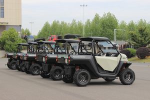 EEC inovator <span class=keywords><strong>4x4</strong></span> baterai listrik <span class=keywords><strong>UTV</strong></span>, baterai Lithium otomatis 48V/60V penggerak empat roda pertanian kompatibel dengan COC bersertifikat <span class=keywords><strong>UTV</strong></span> <span class=keywords><strong>EPA</strong></span> - Product Image 4