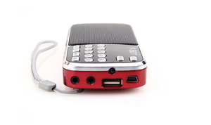 Radio Digitale Professionale AM/FM Bidirezionale con Microfono Integrato, Altoparlante USB, Supporto Scheda TF, Compatibile con Computer, Lettore <span class=keywords><strong>MP3</strong></span> - Modello L-088AM - Product Image 5