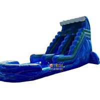 Toboggan aquatique gonflable en PVC sur le thème des dauphins pour usage commercial, extérieur et domestique