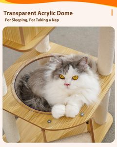 Arbre à chat en sisal et velours, classique, moderne, luxueux et écologique, avec enclos pour litière et emballage en carton, vente en gros - Product Image 4
