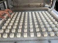 Machine à sucre cube de formage personnalisée Machine à briqueter entièrement automatique Machine de fabrication de sucre