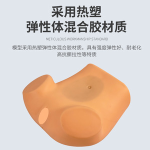 Modèle d'examen gynécologique interne : palpation et inspection utérine ; modèle avancé d'entraînement à l'examen gynécologique. - Product Image 3