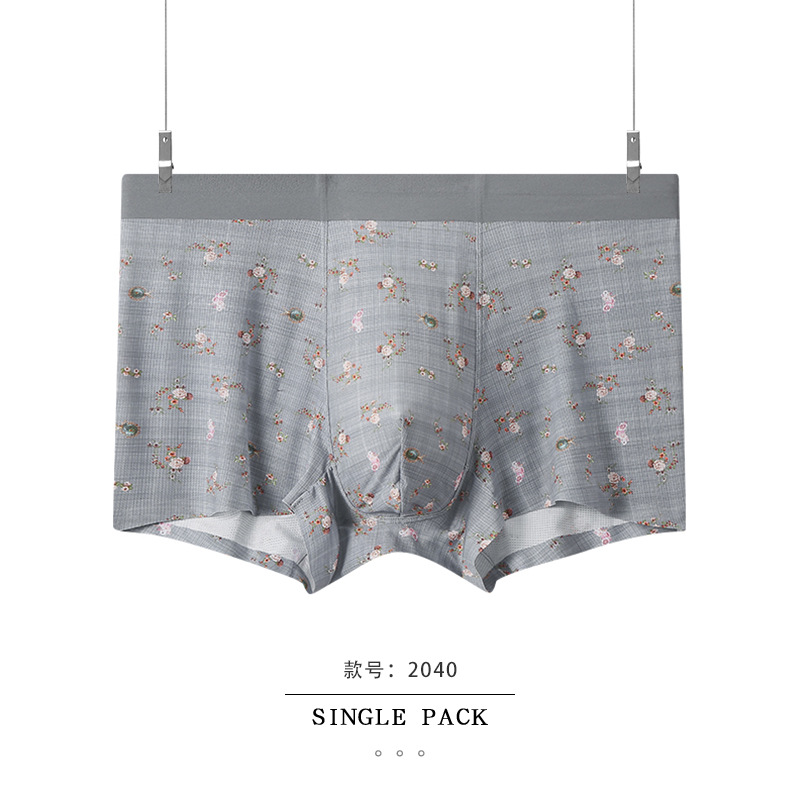 2040 blooming flowers