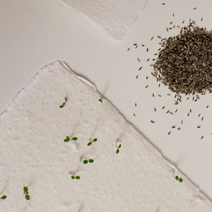 Able Plant Flower Seed Paper with Custom Print <strong>Plantable</strong> Seed Paper <strong>Card</strong> Invitation Thank You Greetings <strong>Cards</strong> for Small Business - Product Image 5