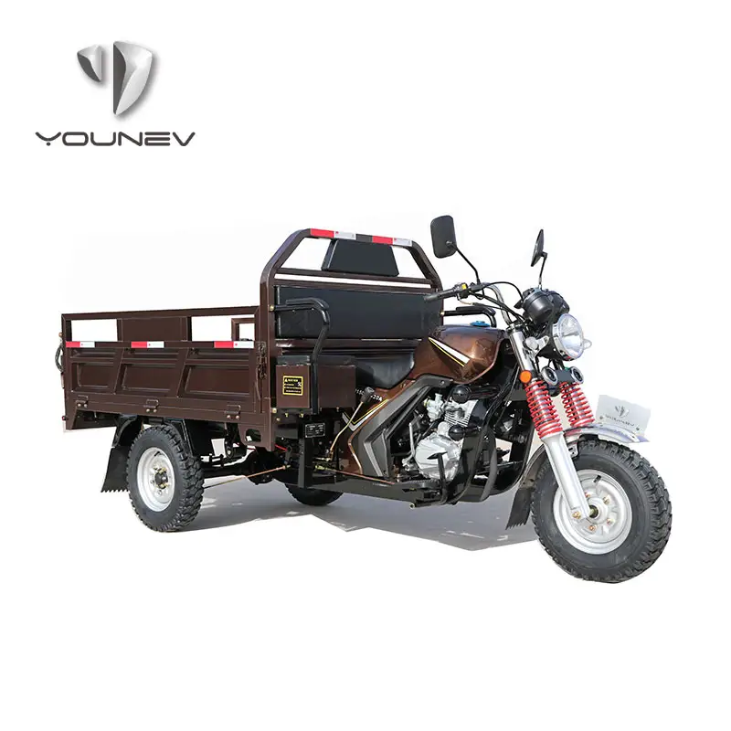 2024 New hot sale A1 three wheel heavy load adult cargo tricycle motorized tricycle for farm