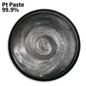 Platino conduttore pasta CAS 7440-06-4 Pt nanoparticelle elettrodi Pt 99.9% APS80-100np platino conduttivo inchiostro pasta di platino