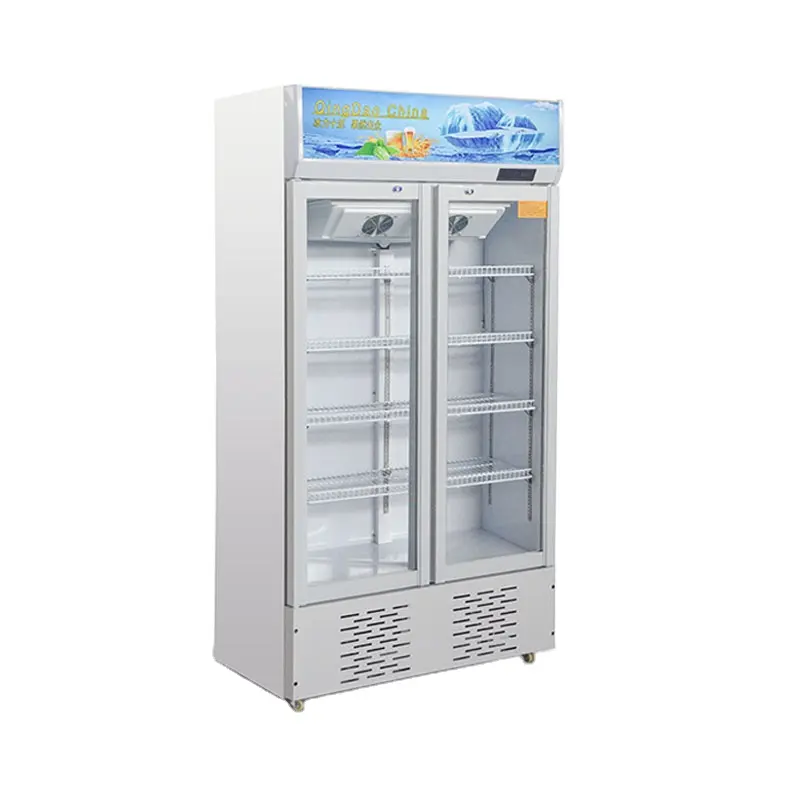 Nevera vertical para escaparate de supermercado, refrigerador con puertas de vidrio, refrigeración, EquipmeAir