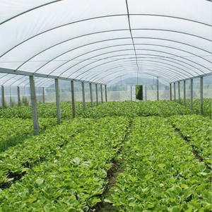 Serre d'utilisation de plantes à double couche à <span class=keywords><strong>prix</strong></span> compétitif grand cadre métallique tropical pour l'horticulture et l'agriculture - Product Image 2