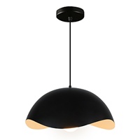 Lustre en Coquille de Fer pour Restaurant et Magasin, Design Minimaliste Moderne, Lumière LED, Installation Double Usage