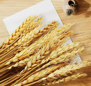 Vente flash : Fleurs séchées en <span class=keywords><strong>blé</strong></span>, 100% <span class=keywords><strong>blé</strong></span> naturel, bouquets <span class=keywords><strong>de</strong></span> <span class=keywords><strong>centre</strong></span> <span class=keywords><strong>de</strong></span> <span class=keywords><strong>table</strong></span> pour mariages rustiques - Product Image 2