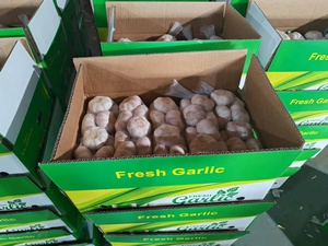 กระเทียมสดสีขาวบริสุทธิ์กระเทียมสดสีขาวธรรมชาติในจีน - Product Image 3