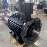 Motor Eléctrico a Prueba de Explosiones para Molino de Aceite, Compresor Centrífugo AC EX, 20/22kw, Kit de Motor Bldc E PMG