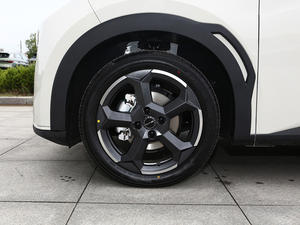 Eagull para eagull - Product Image 5