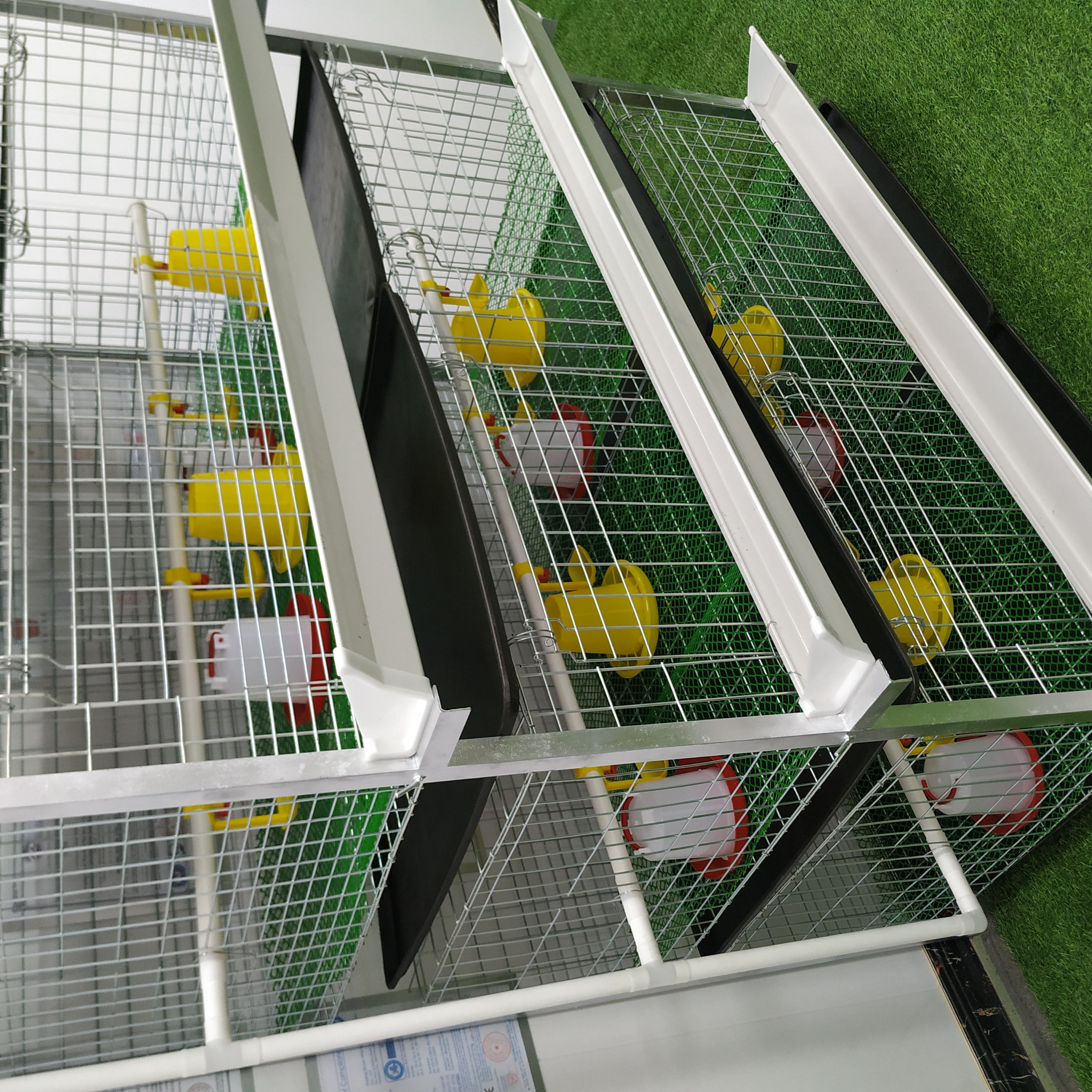 egg laying chicken cages