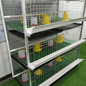 H tipi 120 ila 320 kuş kapasitesi 4 katlı çelik tavuk Brooder kafes otomatik pil kumandalı kümes hayvancılığı ev ev kullanımı - Product Image 6