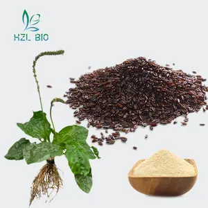 Wholesale Customized Organic Psyllium Seed Powder Healthy Organic Psyllium Seed Extract Powder