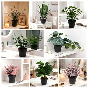 Planta Artificial <span class=keywords><strong>Echeveria</strong></span> Minima en Maceta <span class=keywords><strong>de</strong></span> Cerámica con Tierra Sintética, Ecológica y Duradera, para Decoración del Hogar y Oficina - Product Image 6