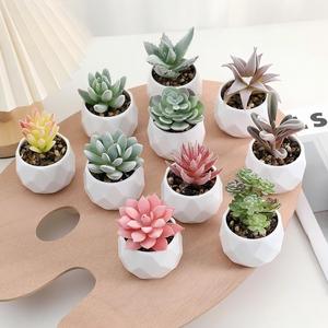 Mini Piante Succulente Artificiali in Vaso - Vaso in Ceramica Bianca con Succulente Finte per Decorazione Casa e Scrivania - Product Image 5