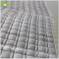 Sacs de matelas de coffrage de géotextile de jointoiement de béton pour la gestion de rivière et le renforcement de pente