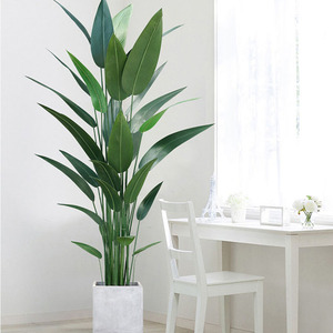 Plante artificielle en pot en soie, type Canna Lily, style Bonsaï, pour salon, 110cm, 140cm, 160cm, 180cm, 210cm - Product Image 3