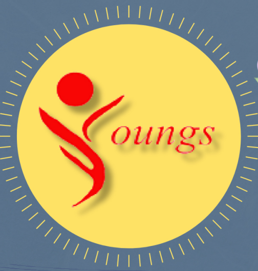Shenzhen Young Silicon Alwayseal Technology Ltd.