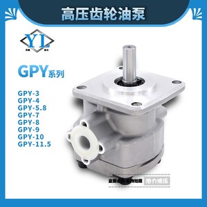 ปั๊มใบพัดแรงดันสูง gpy 3R 4R 5.8R 7R 8R 9R 12R 10R ปั๊มไฮดรอลิก GPY-2R สภาพ11.5R ใหม่และใช้แล้ว - Product Image 4