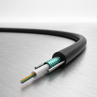 Câble à fibre optique blindé extérieur monomode G.652D à 6 fibres pour construction de routes aériennes et déploiement de réseaux d'accès FTTH