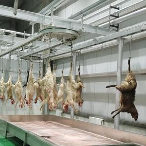 Chaîne de production automatisée avancée pour l'abattage de chèvres – Équipement d'abattoir en acier pour la transformation de viande halal - Product Image 2