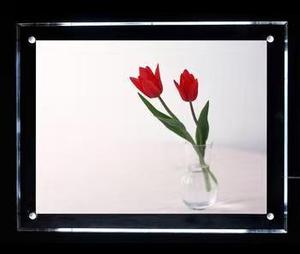 Trung Quốc Nhà máy tùy chỉnh bất động sản cửa sổ hiển thị hệ thống LED cạnh-lit Acrylic Hộp đèn cho sử dụng trong nhà pha lê khung Áp phích - Product Image 4
