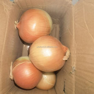 Verse Gele <span class=keywords><strong>Holland</strong></span> Uien In Bulk Uit China En India China Ui Prijzen - Product Image 4