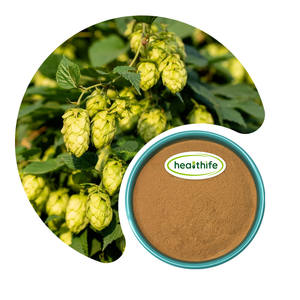 Extrait de houblon pur de qualité alimentaire Healthife, en gros, Humulus <span class=keywords><strong>Lupulus</strong></span>, 20% Xanthohumol en poudre - Product Image 2
