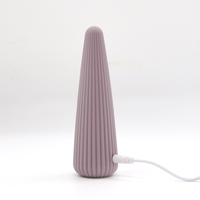 Neu Eingeführter Wiederaufladbarer 10-Gang G-Punkt-Massager IPX6 Wasserdicht Silikon-Körpersicherer Klitoris-Stimulator Vibrator Sexspielzeug