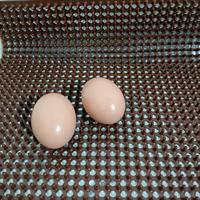 Coussinets de nidification en TPE 49x55CM, coussinets de nidification en plastique pour poulets, coussinets de nidification pour œufs, coussinets de nidification lavables pour poulailler