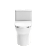 SA001 Barre d'appui de sécurité pour toilettes, pour personnes âgées, enceintes, handicapées, support pour siège de toilettes, poignée d'assistance.