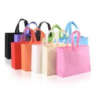 Biodegradable Bag Shopping Recycle pp nonwoven fabric bag