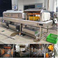 Machine de lavage automatique de cages à volailles en promotion, laveuse industrielle de caisses 600 pièces/heure, équipement de nettoyage de boîtes en plastique haute efficacité