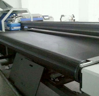 Annilte Custom Industrial UV Flatbed Printer Plastik Mesh Spiral Mesh Plain Weave Polyester Mesh Conveyor Belt