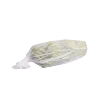 PP Spunbond Non-Woven Ademend Gewoon Fruitbeschermhoes Bananen Zak Waterdicht Dadelpalm Zak Anti-UV Polypropyleen