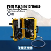 Appareil de thérapie magnétique PEMF professionnel pour l'amélioration de la circulation sanguine, à usage clinique commercial, pour chevaux et animaux de compagnie.