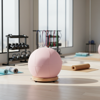Ballon d'exercice souple en PVC, écologique et durable, avec housse pour le yoga